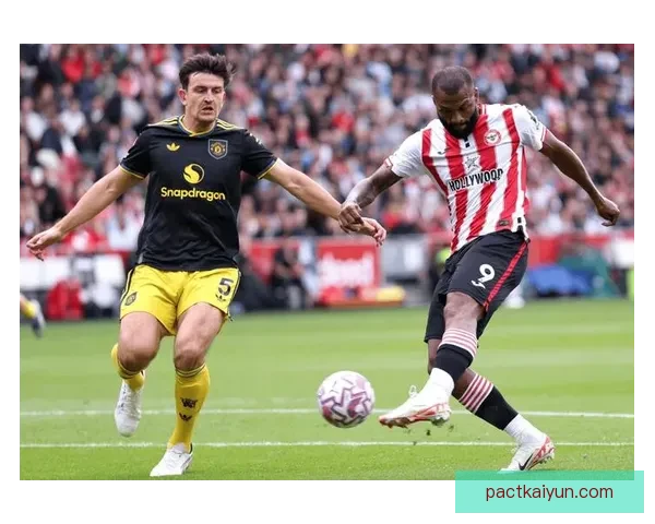 布伦特福德防守数据持续保持稳定，球队在本赛季中表现值得关注