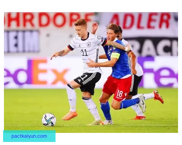 萨维奇技术全面性持续提升，攻防表现稳健